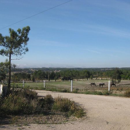 הוילה אלג'זור Monte Da Xara מראה חיצוני תמונה