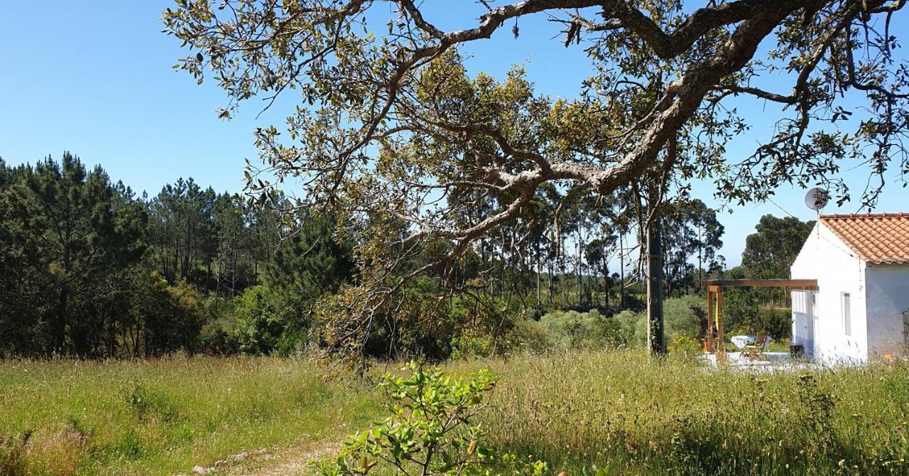 הוילה אלג'זור Monte Da Xara מראה חיצוני תמונה