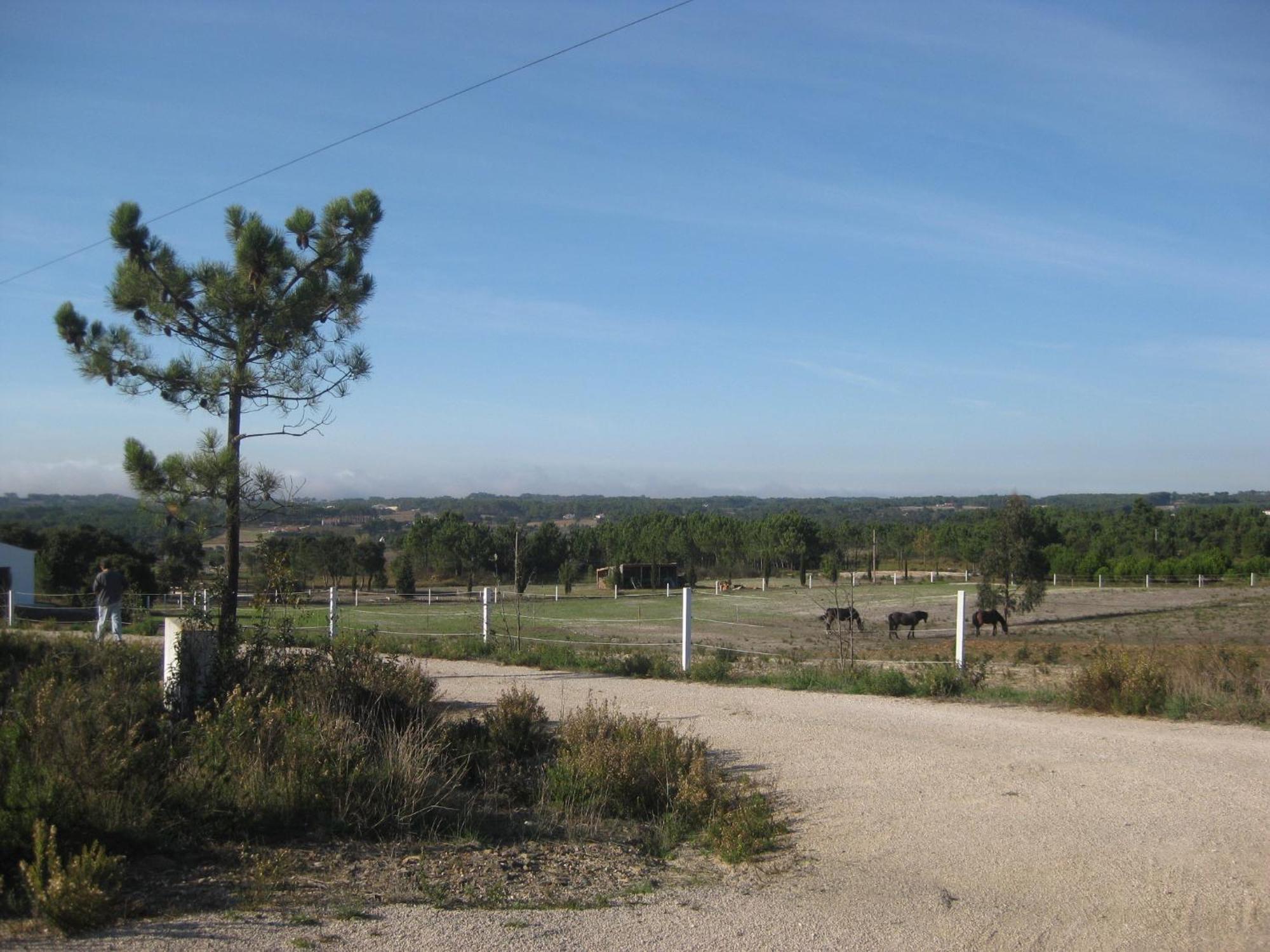 הוילה אלג'זור Monte Da Xara מראה חיצוני תמונה