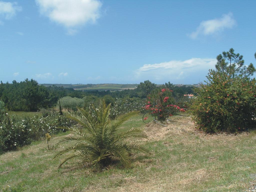 הוילה אלג'זור Monte Da Xara מראה חיצוני תמונה